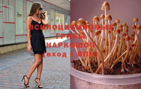 COCAINE Белокуриха