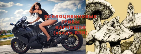 прущие грибы Баксан