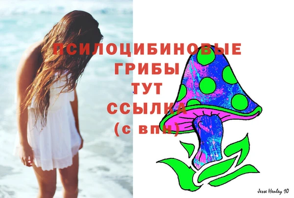 COCAINE Белокуриха